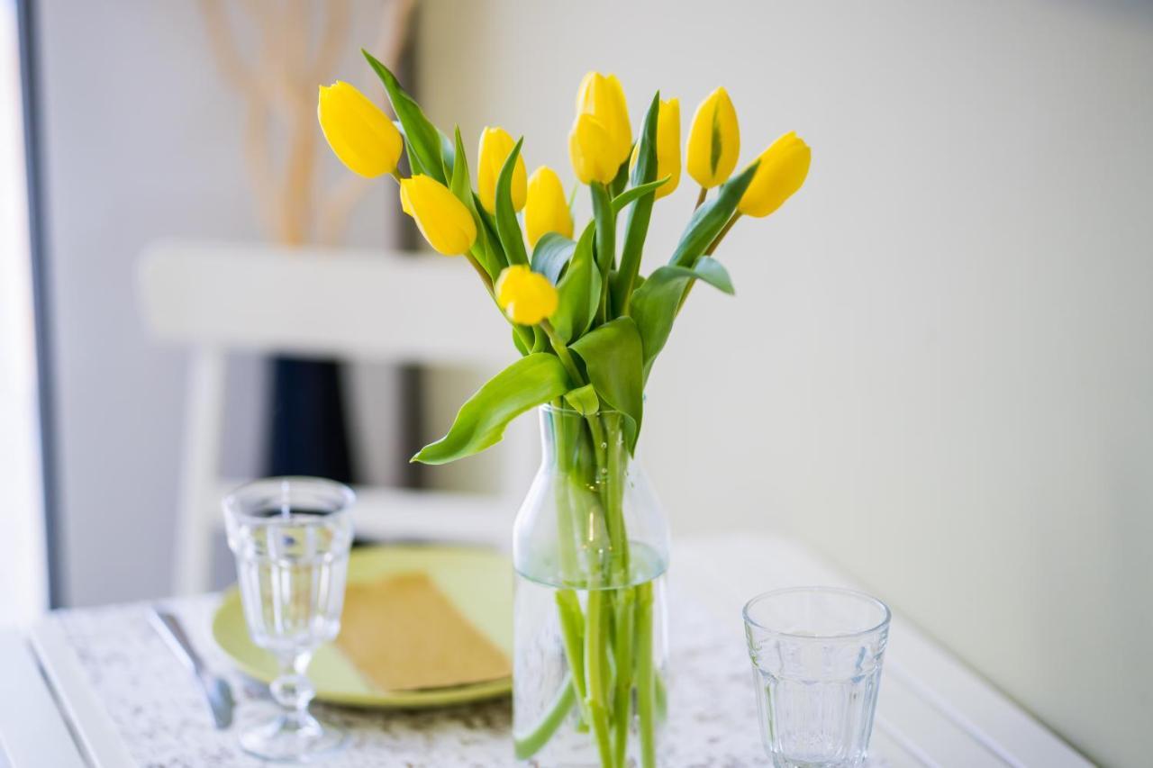 Myflat Studio 802 Siofok Dış mekan fotoğraf